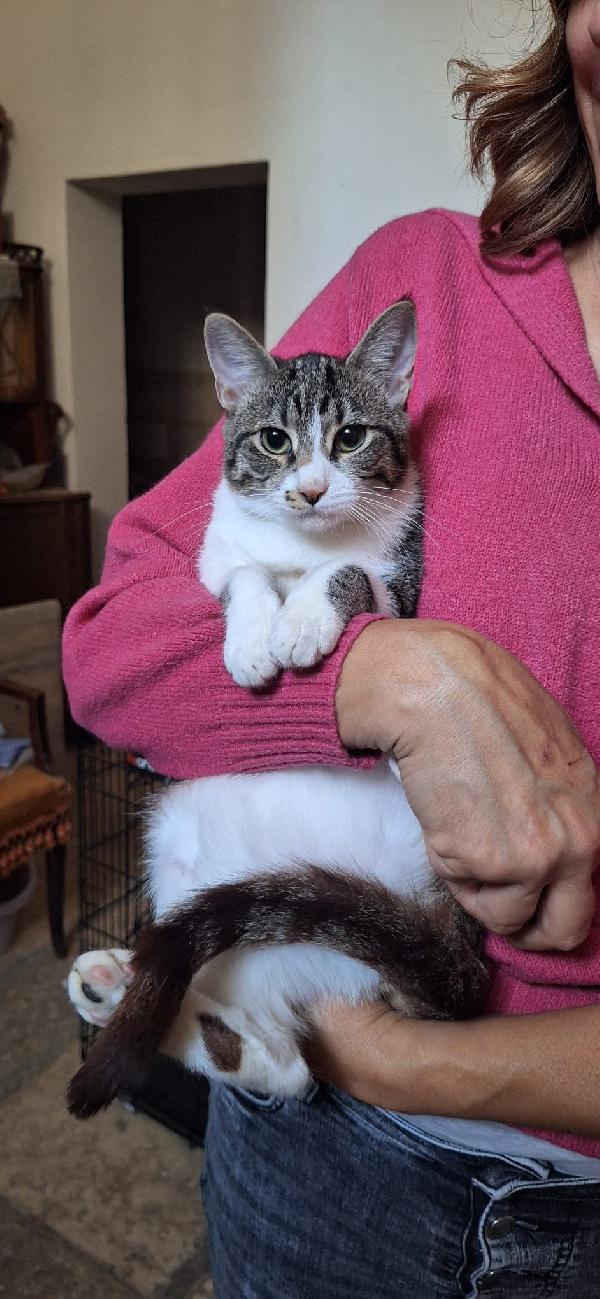 Onda e Mare sorelline 6 mesi Foto 3